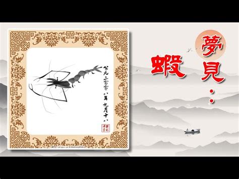 夢到蝦子號碼|【夢到蝦子號碼】夢到蝦子號碼：解開您夢境的數字奧。